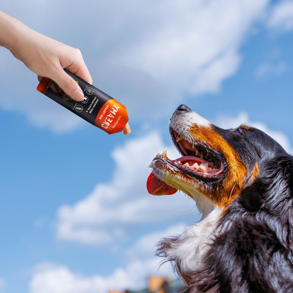 PETPHABET – usage polyvalent comme snack quotidien et activité interactive.