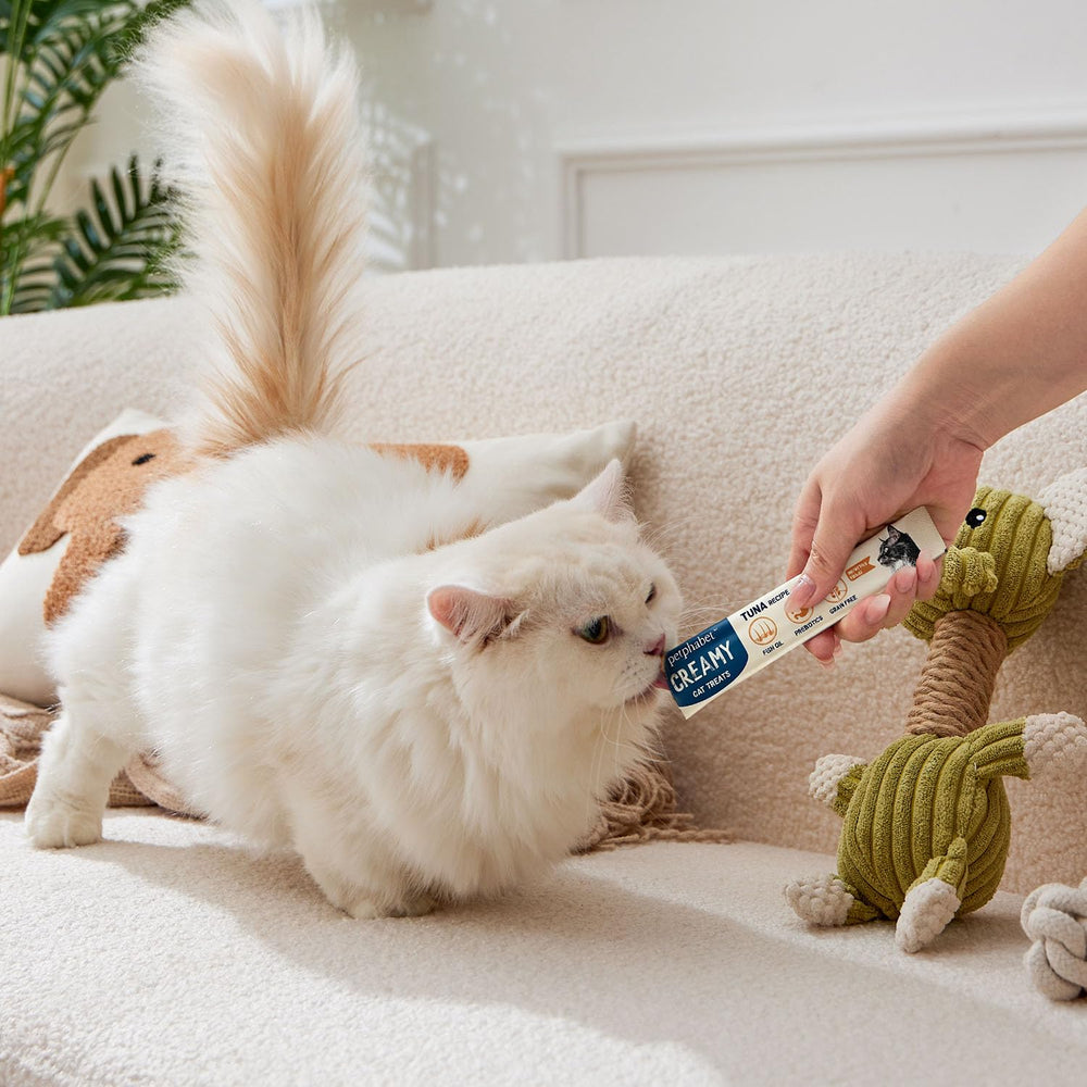 PETPHABET utilisation polyvalente: à mélanger, en topping ou à la main
