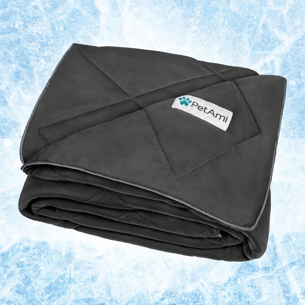 PetAmi Premium sur canapé, couverture douce pour chien et chat, protège le mobilier.