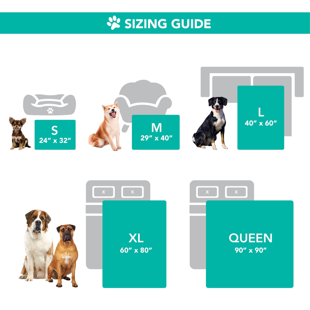 PetAmi cadeau idéal pour propriétaires d'animaux recherchant protection et confort.