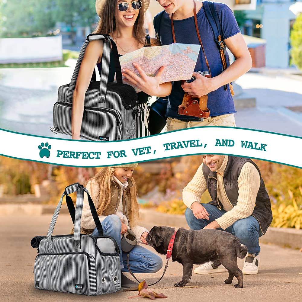 PetAmi conforme avion permet d’emporter votre animal en voyage sans obstacle.