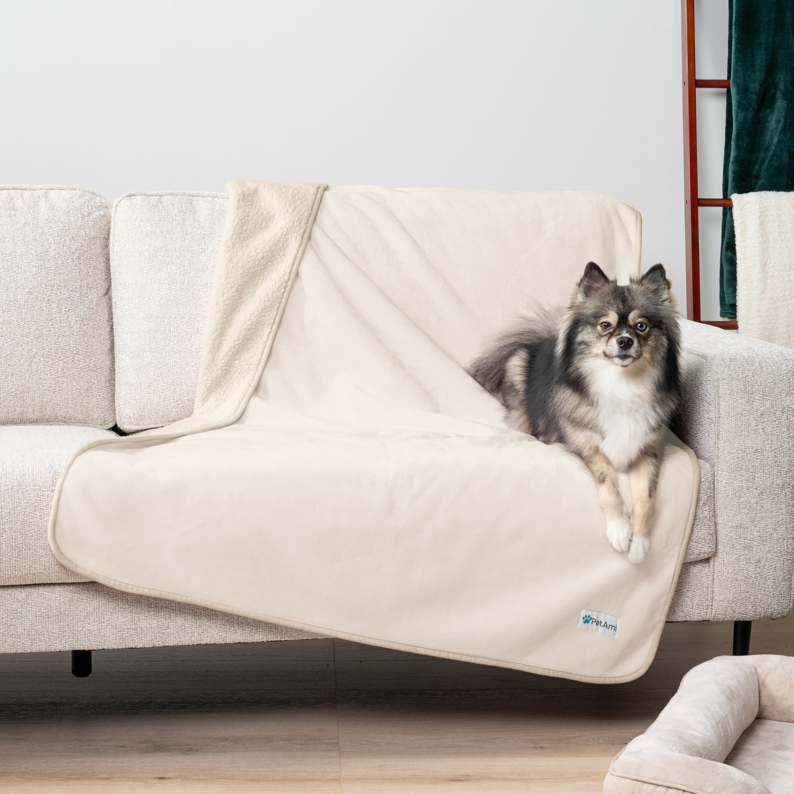 PetAmi Housse canapé pour chien XL imperméable, polyvalente