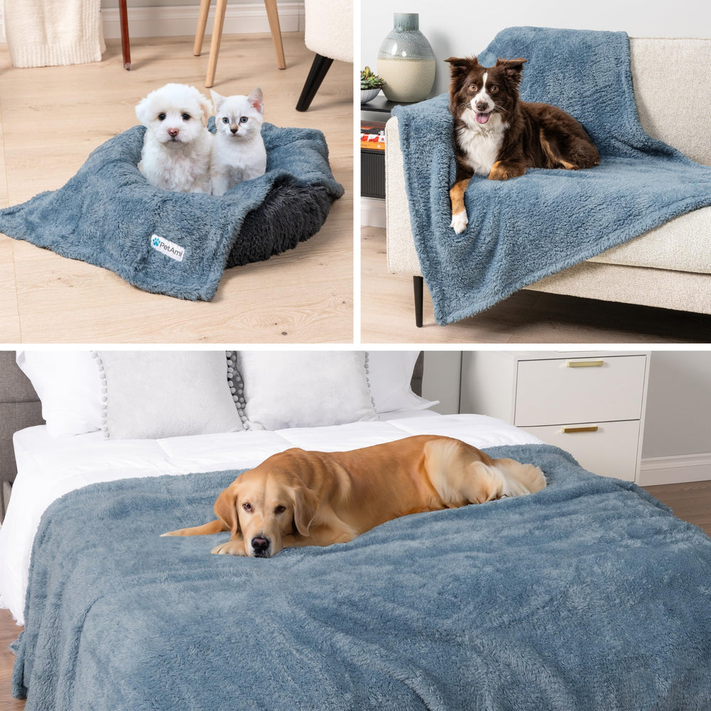 PetAmi couleur bleu poussiéreux pour usage quotidien et protection