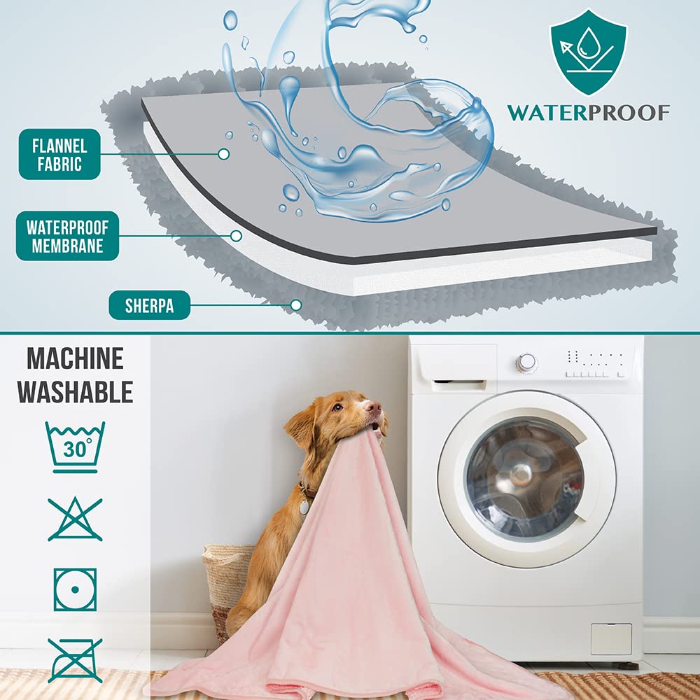 Coutures renforcées et bordures durables sur PetAmi.