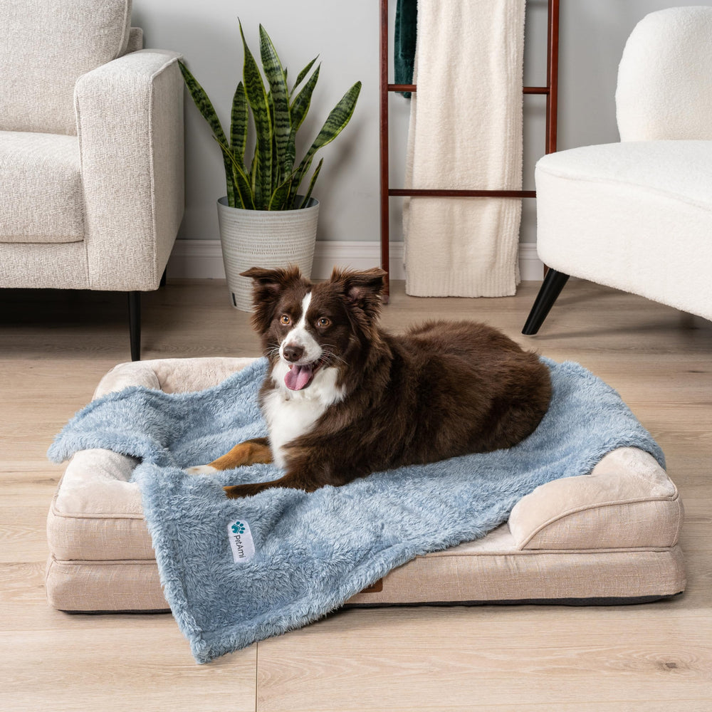 PetAmi couverture chaton bleu, chaleur réconfortante pour les câlins.