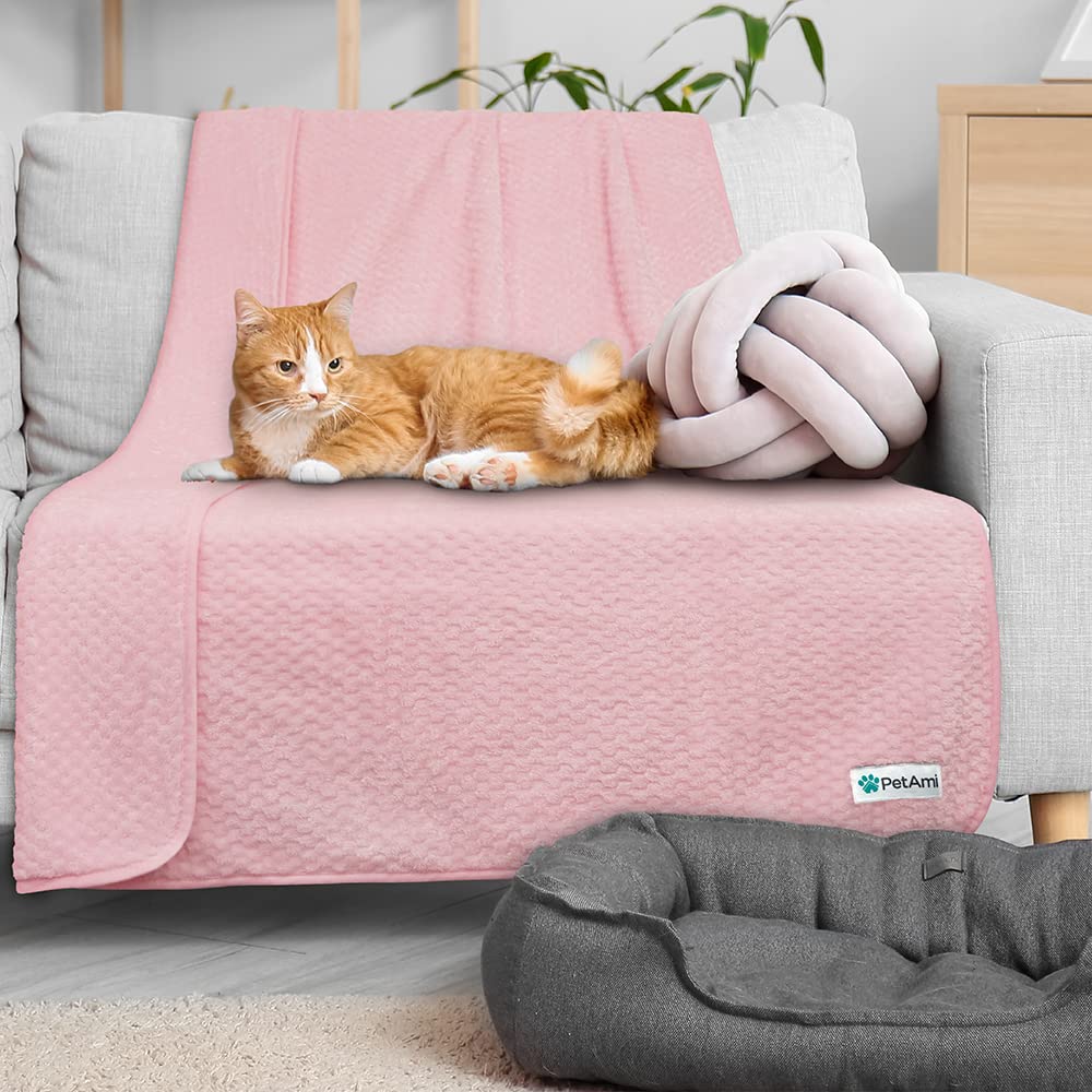 Dimension 40x60 idéale pour chien moyen et chat, capture visuelle.