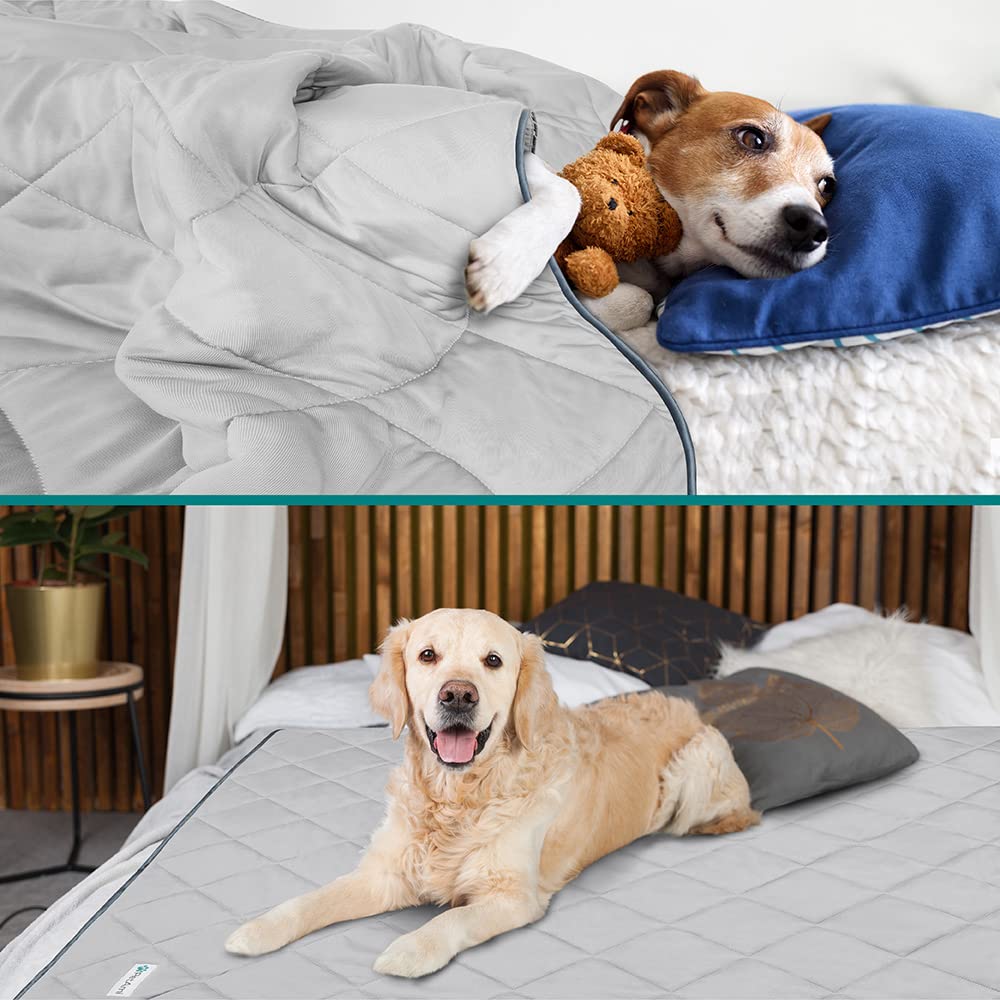 PetAmi Couverture douce et réversible pour chat avec toucher velouté agréable