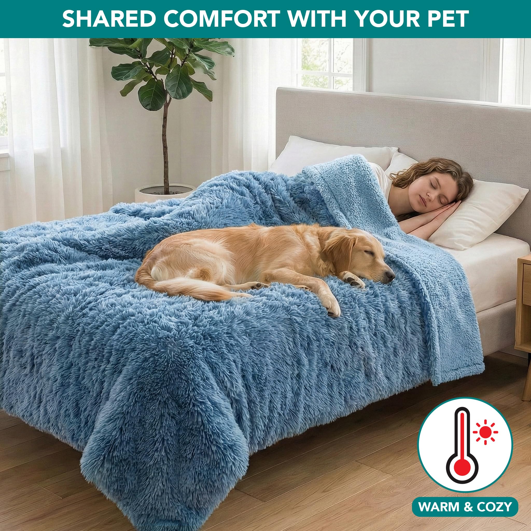 PetAmi taille large 60x80 cm pour grands chiens