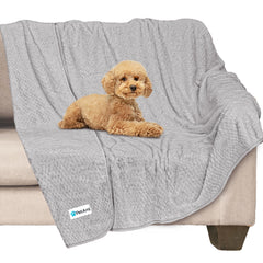 Couverture PetAmi imperméable pour chien, protection du canapé et espace doux.