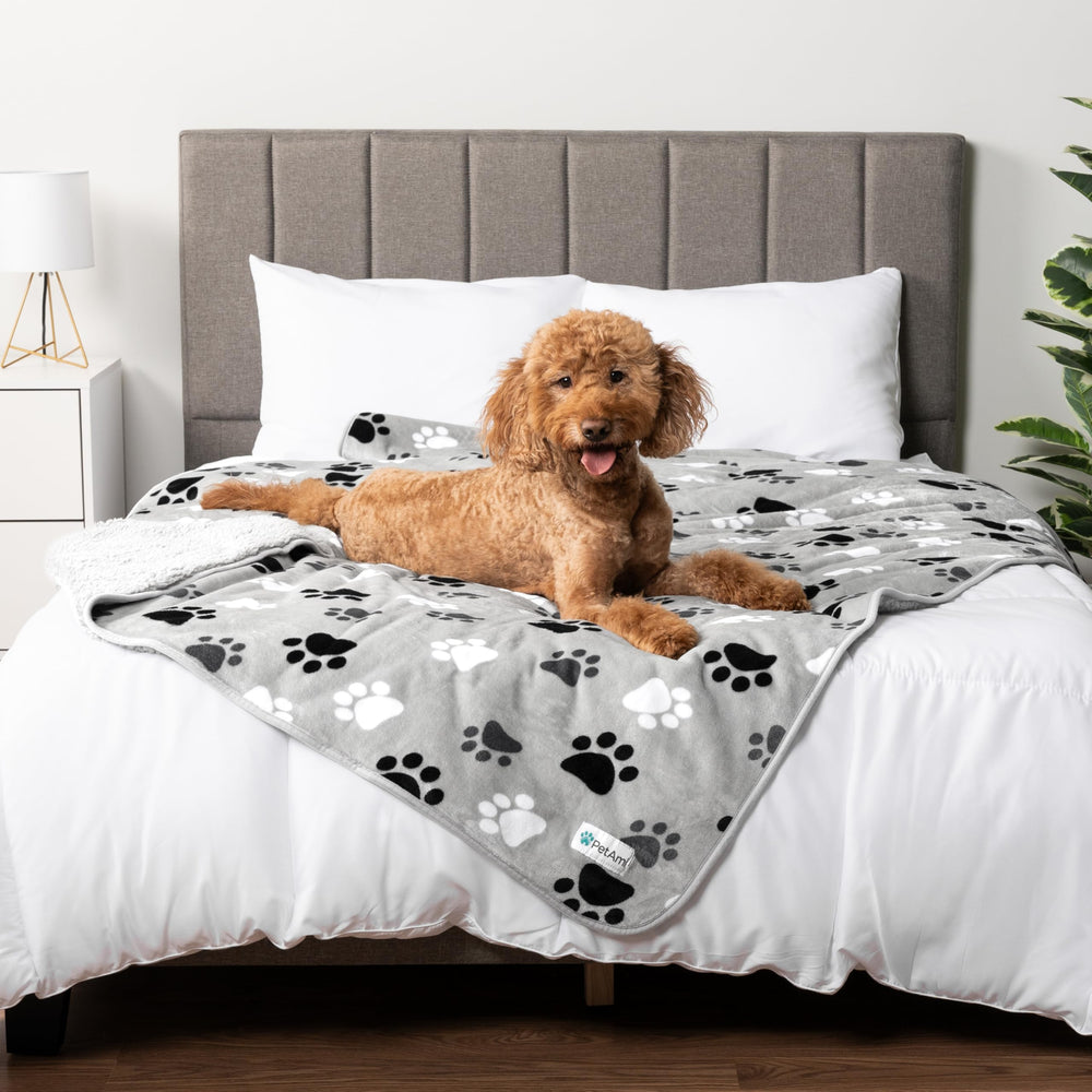 PetAmi: couverture imperméable pour chien protégeant le canapé des taches.