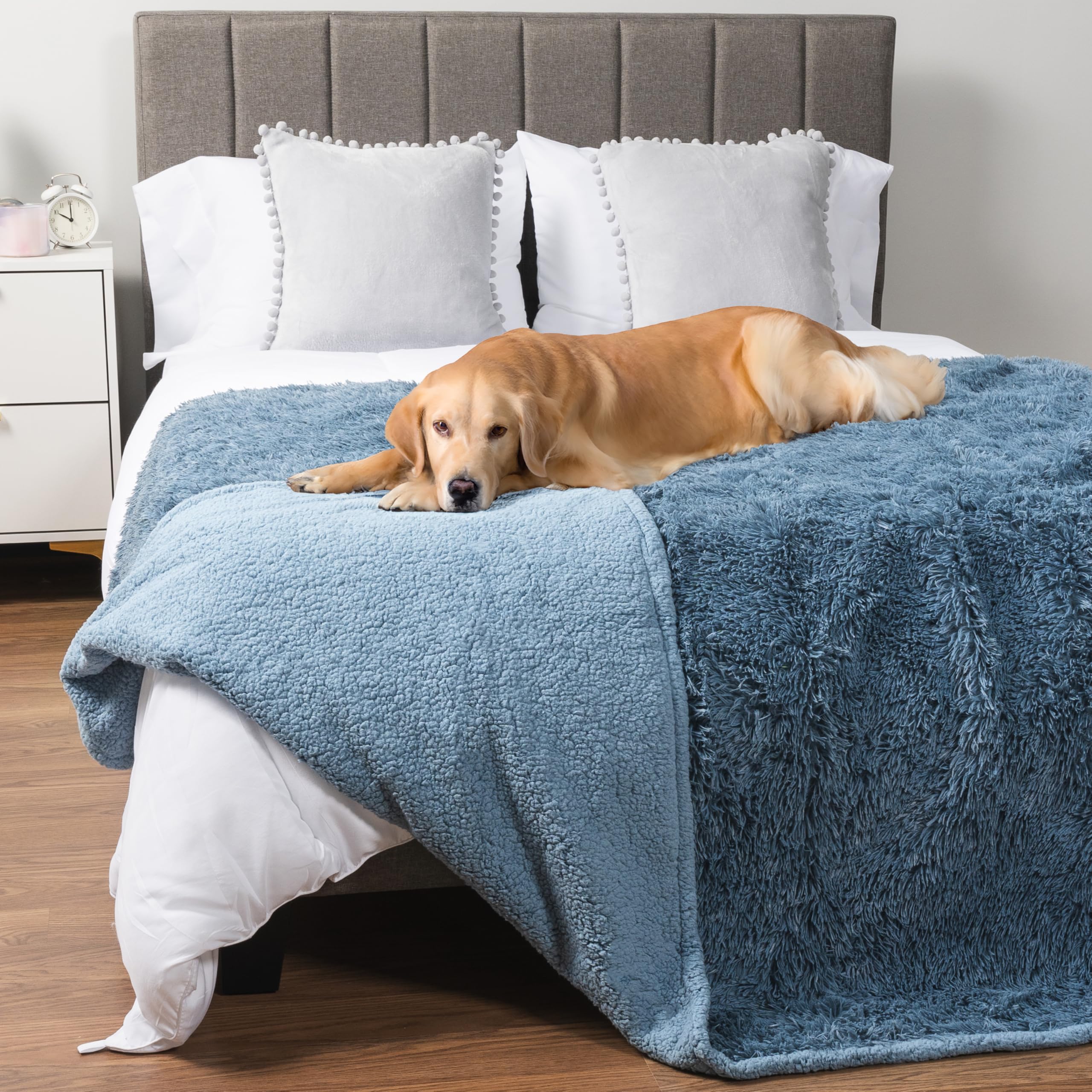 PetAmi couverture imperméable pour grand chien protège le canapé