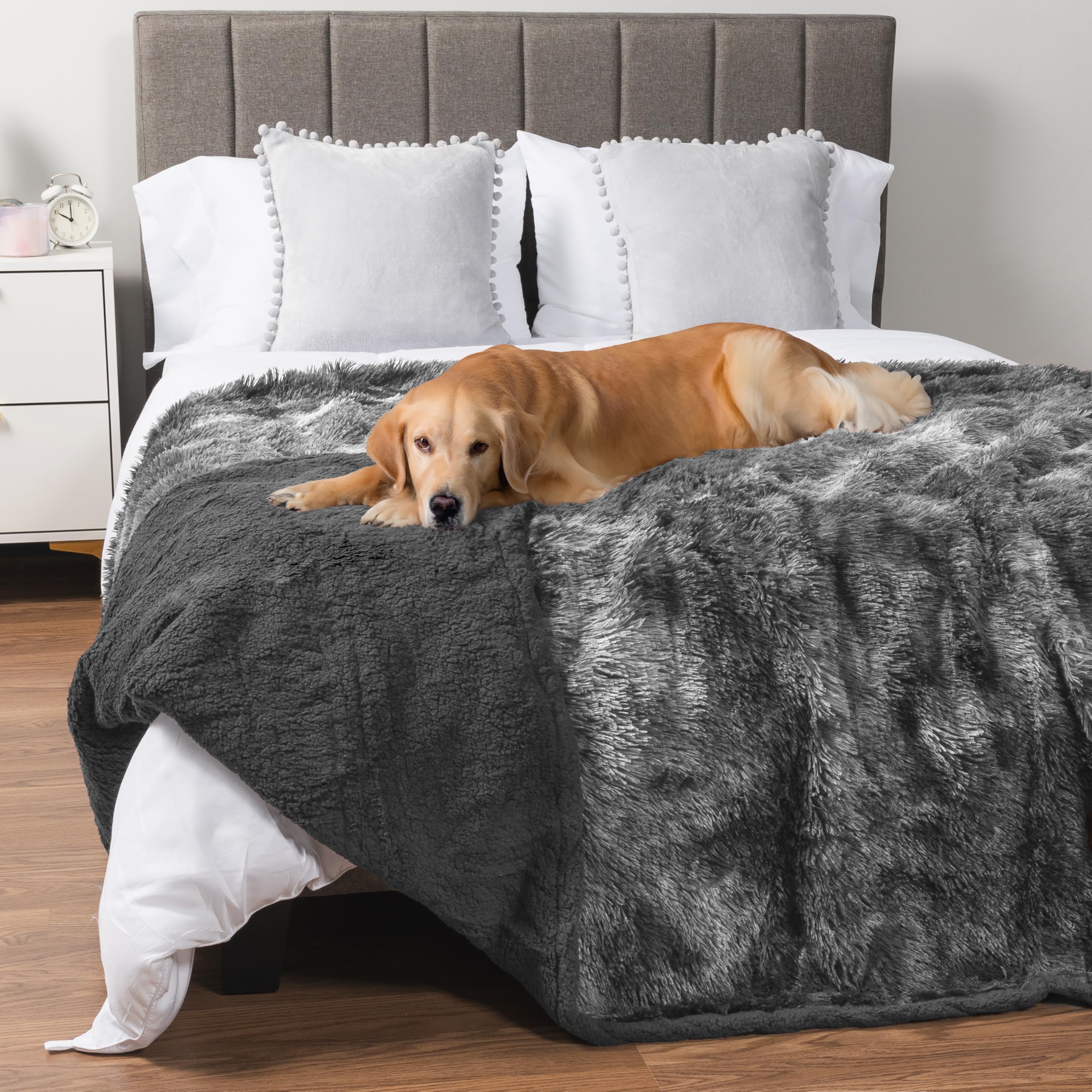 PetAmi couverture imperméable pour chien grand sur canapé protège le mobilier