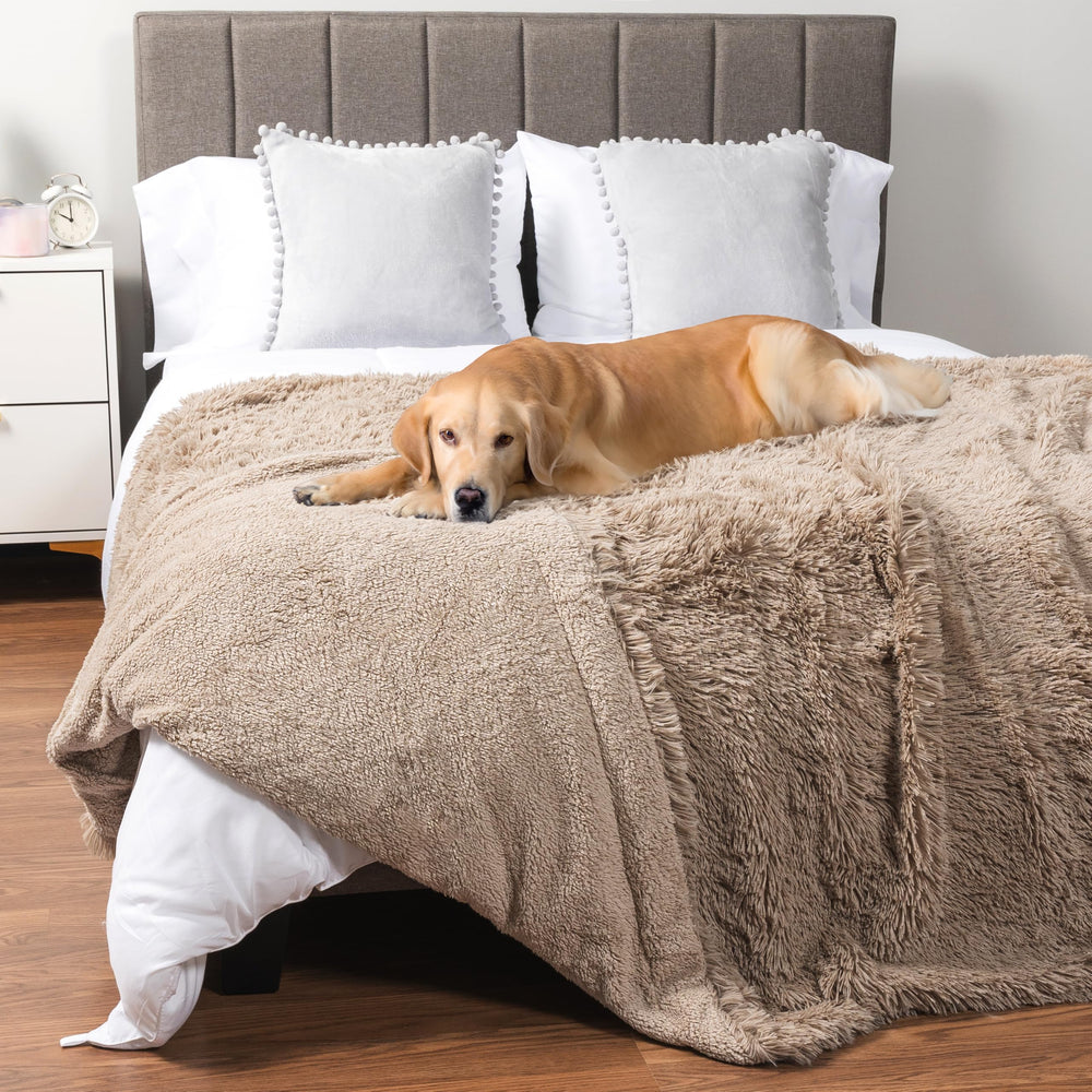 PetAmi couverture Impermeable pour Grand Chien sur Canapé, Protège Meubles.