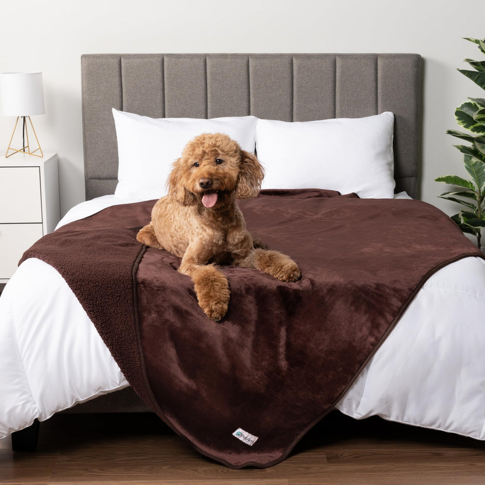 PetAmi: couverture imperméable pour chien XL protégeant canapé