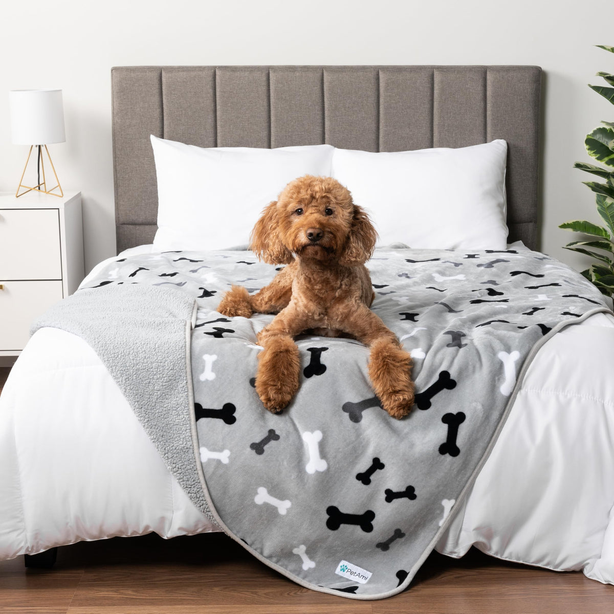 PetAmi couverture imperméable extra-large pour chien protègent meubles et tapis
