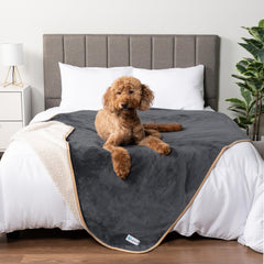 Couverture imperméable PetAmi pour chien extralarge protège les meubles.