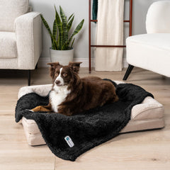 PetAmi couverture noire peluche douce et réversible pour chaleur.