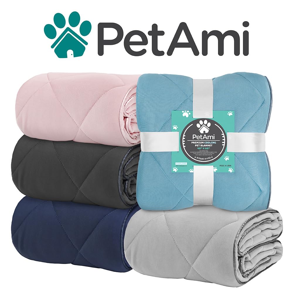 PetAmi Utilisation en voiture avec chien pour plus de confort