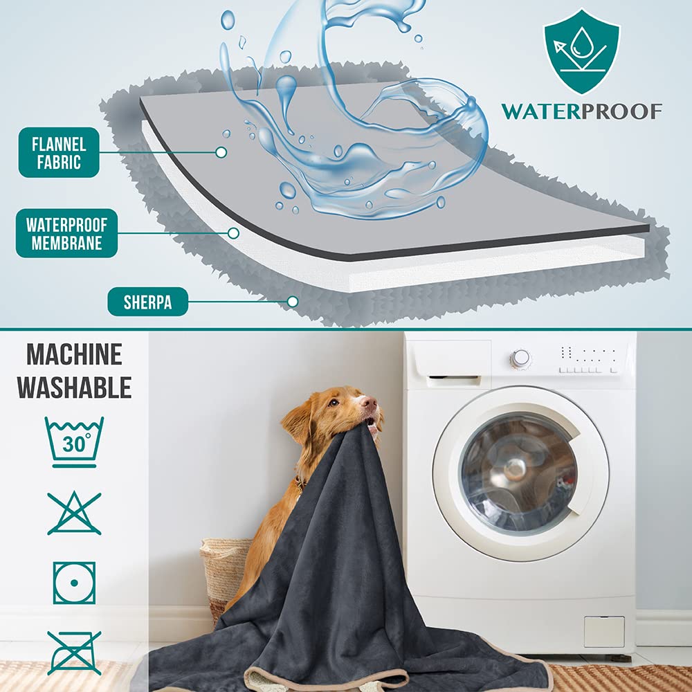 PetAmi couverture polyvalente convient chiens et chats.