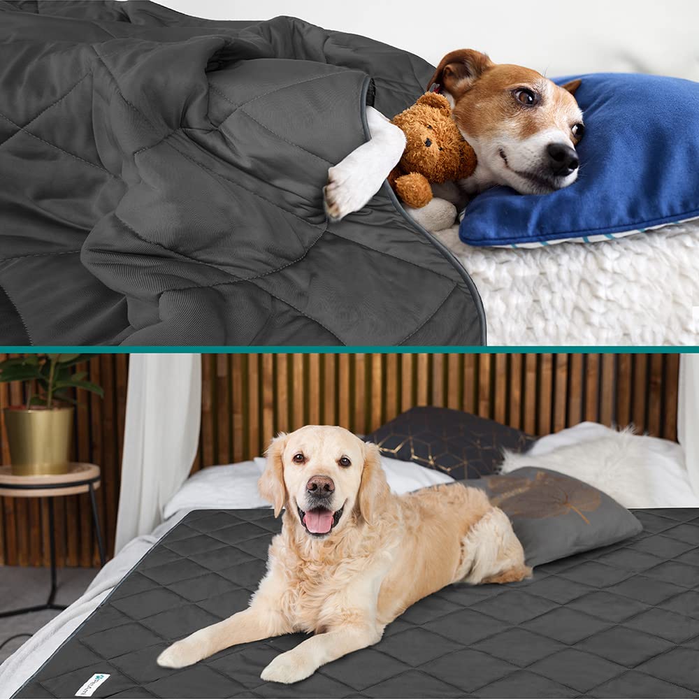 Détail matière douce et pelucheuse de la couverture PetAmi, toucher confortable.