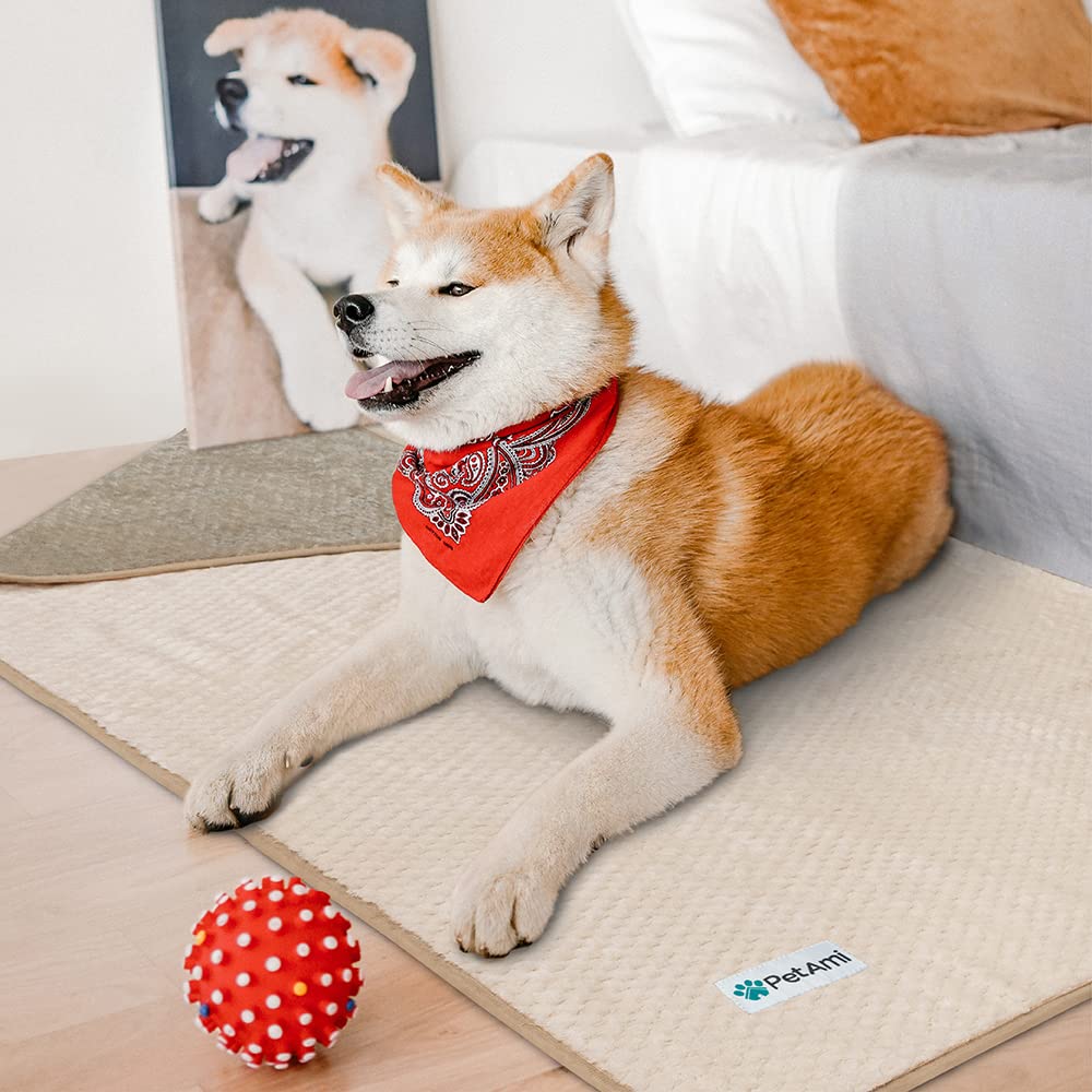 PetAmi dimensions 24x32 couverture adapte pour chiens et chats