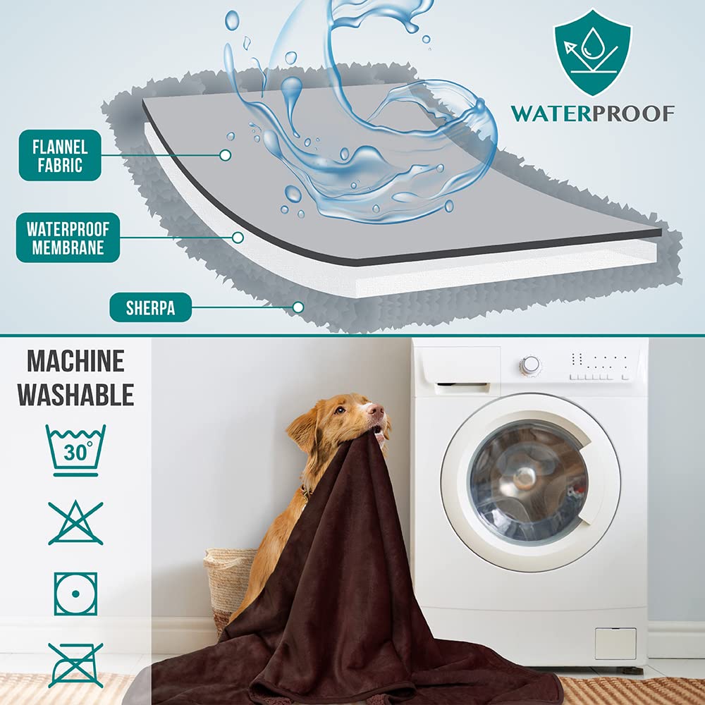 PetAmi lavable en machine pour un entretien facile