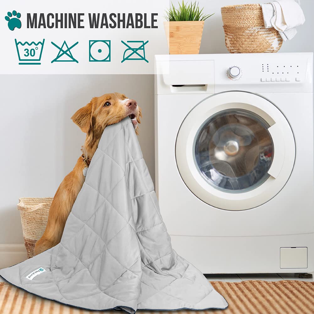 PetAmi lavage en machine facile, entretien rapide et pratique.