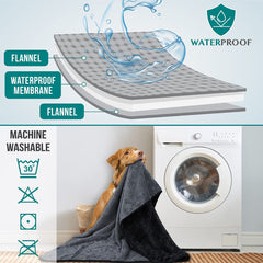 PetAmi lavage machine facile entretien rapide pour animaux.