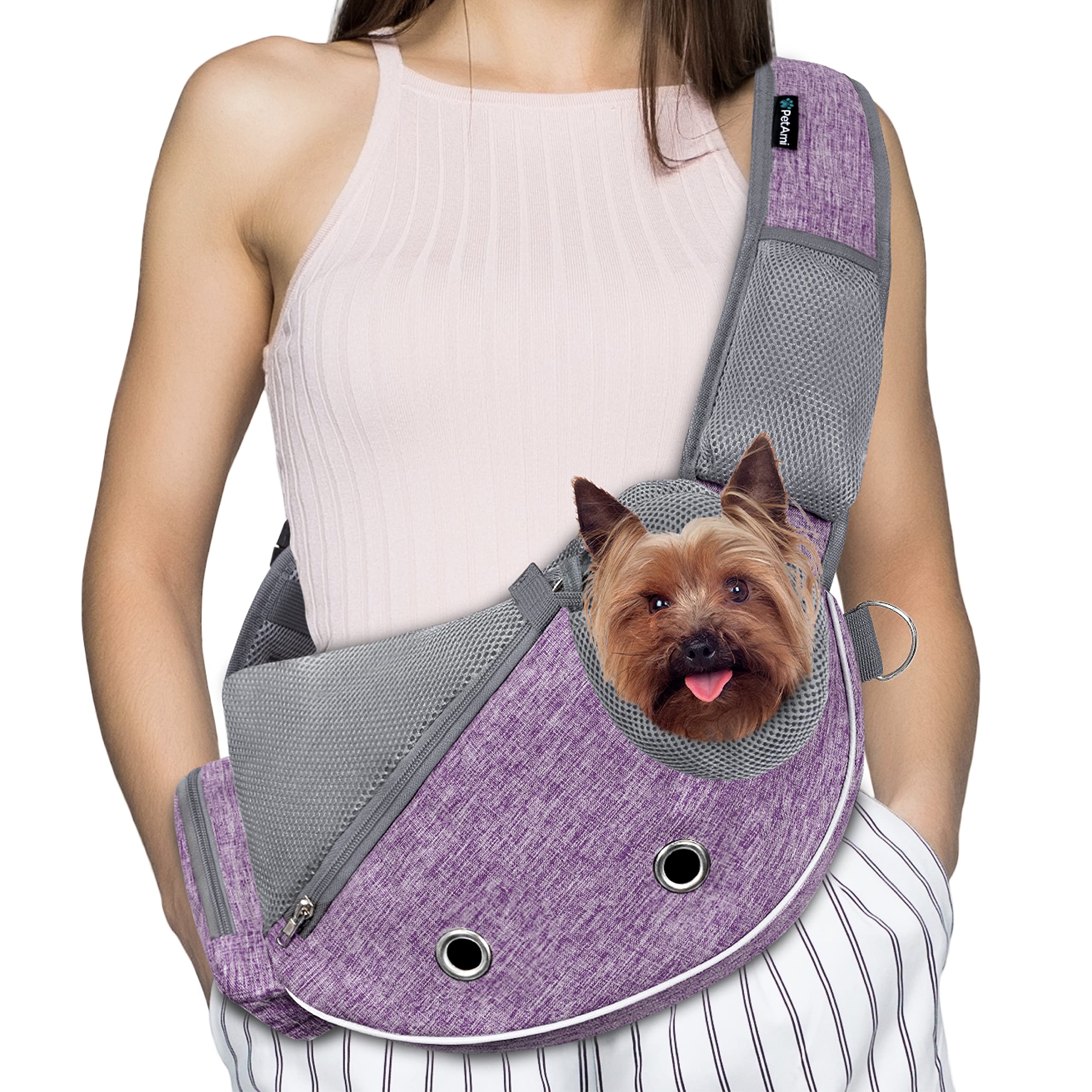 PetAmi porte-chien petit-chien, confort et sécurité en voyage.