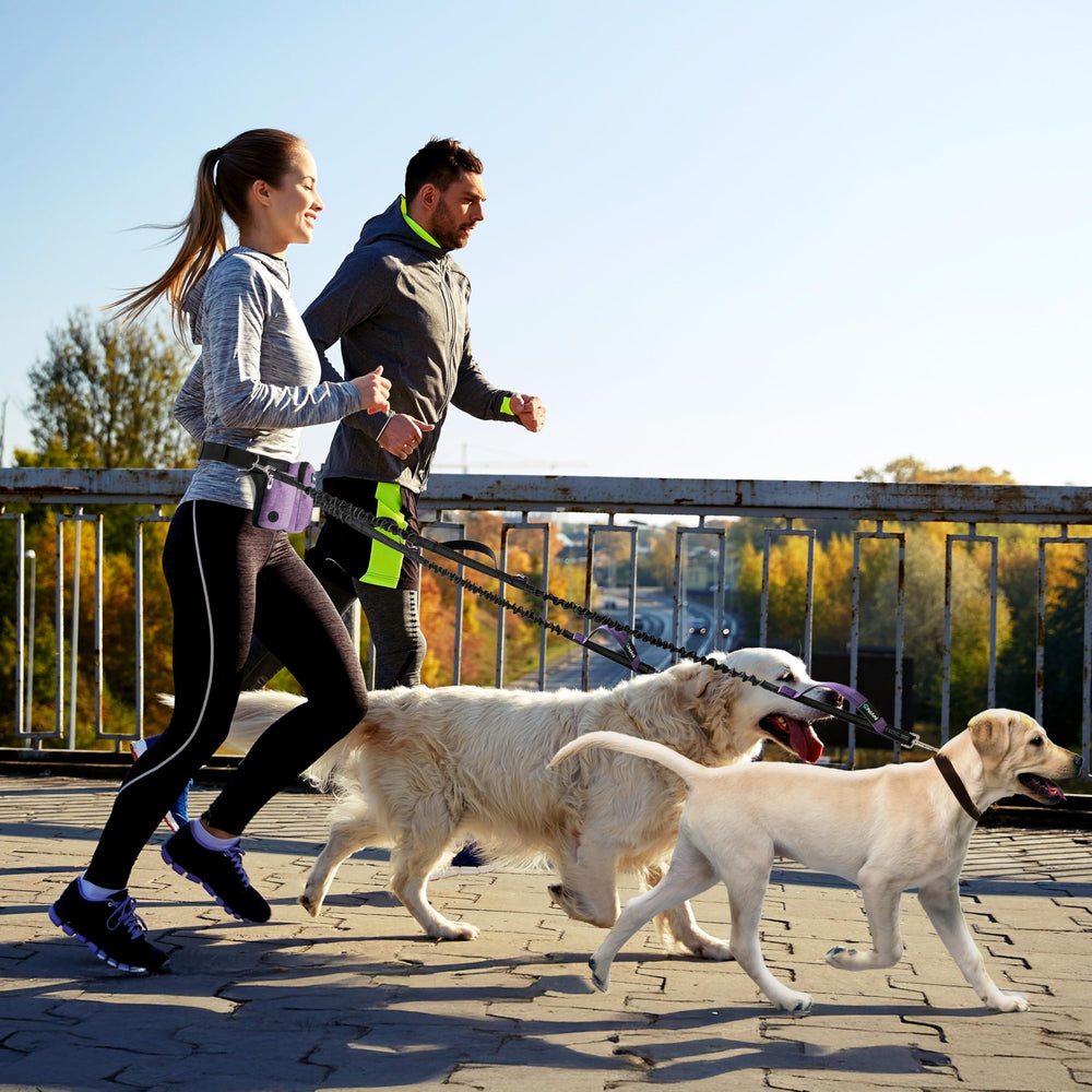 PetAmi Premium Design ergonomique, adapté à course, marche et jogging.