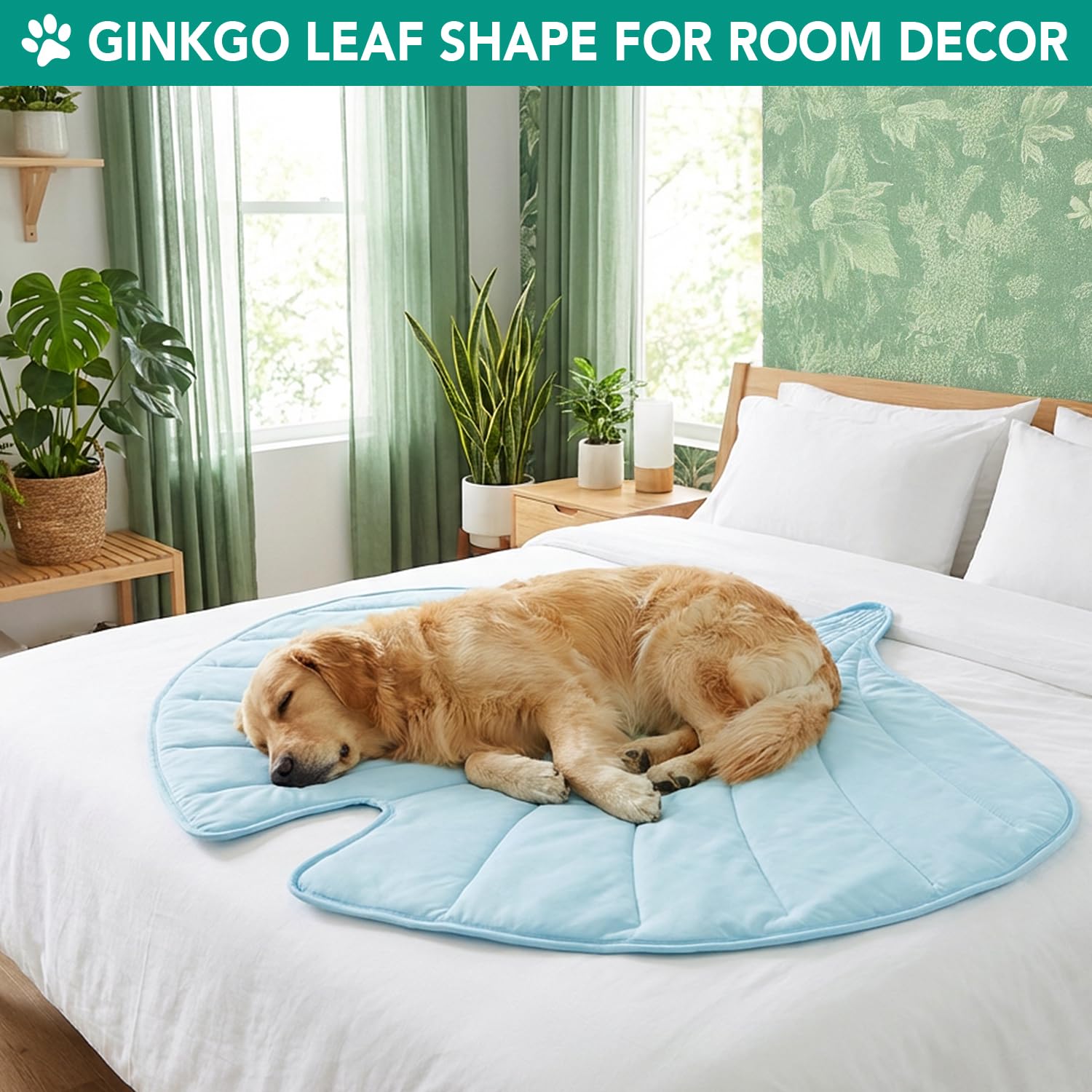 PetAmi protège meubles et sols, tapis polyvalent pour chien et chat