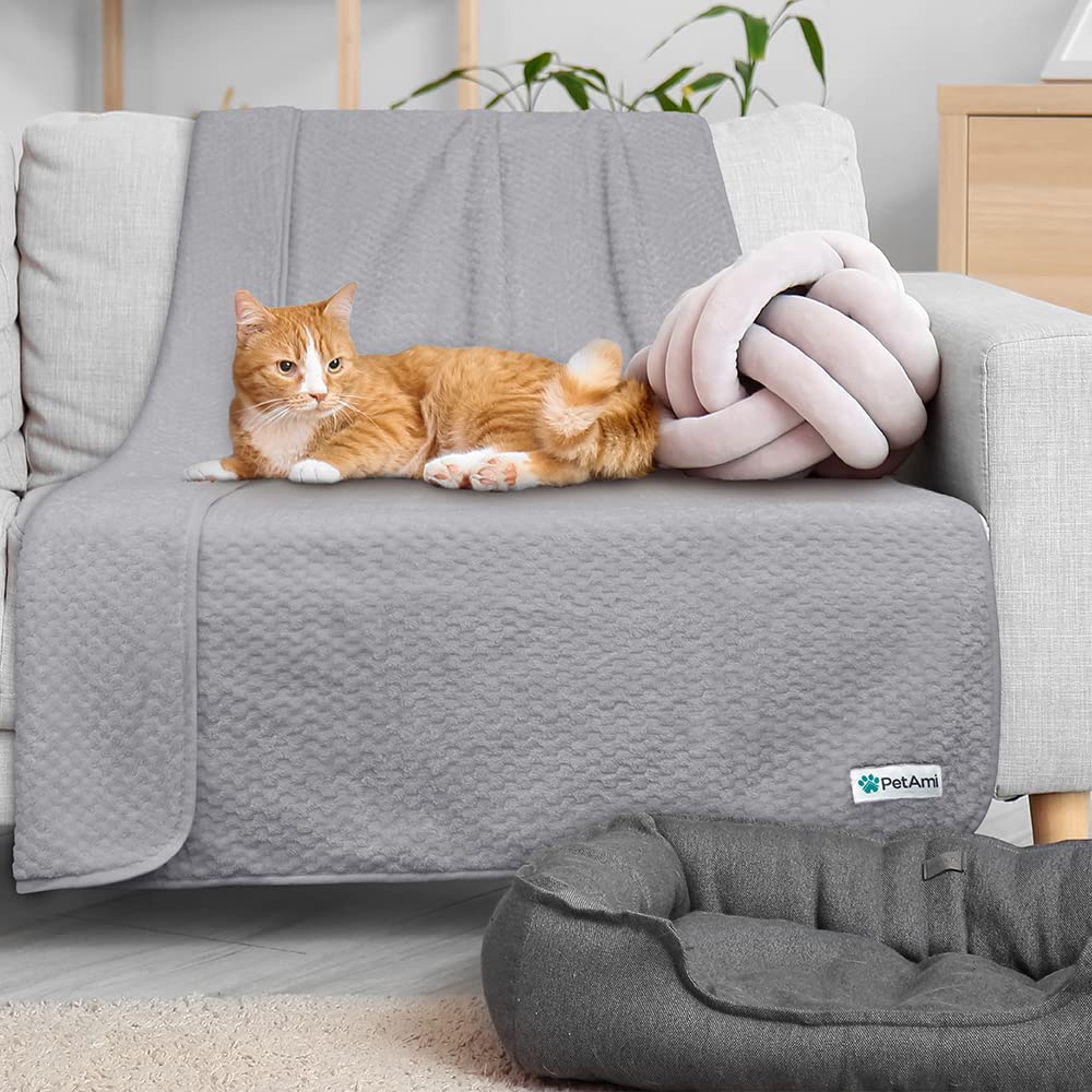 PetAmi Taille-29x40 adaptée pour petits et moyens chiens et chats.