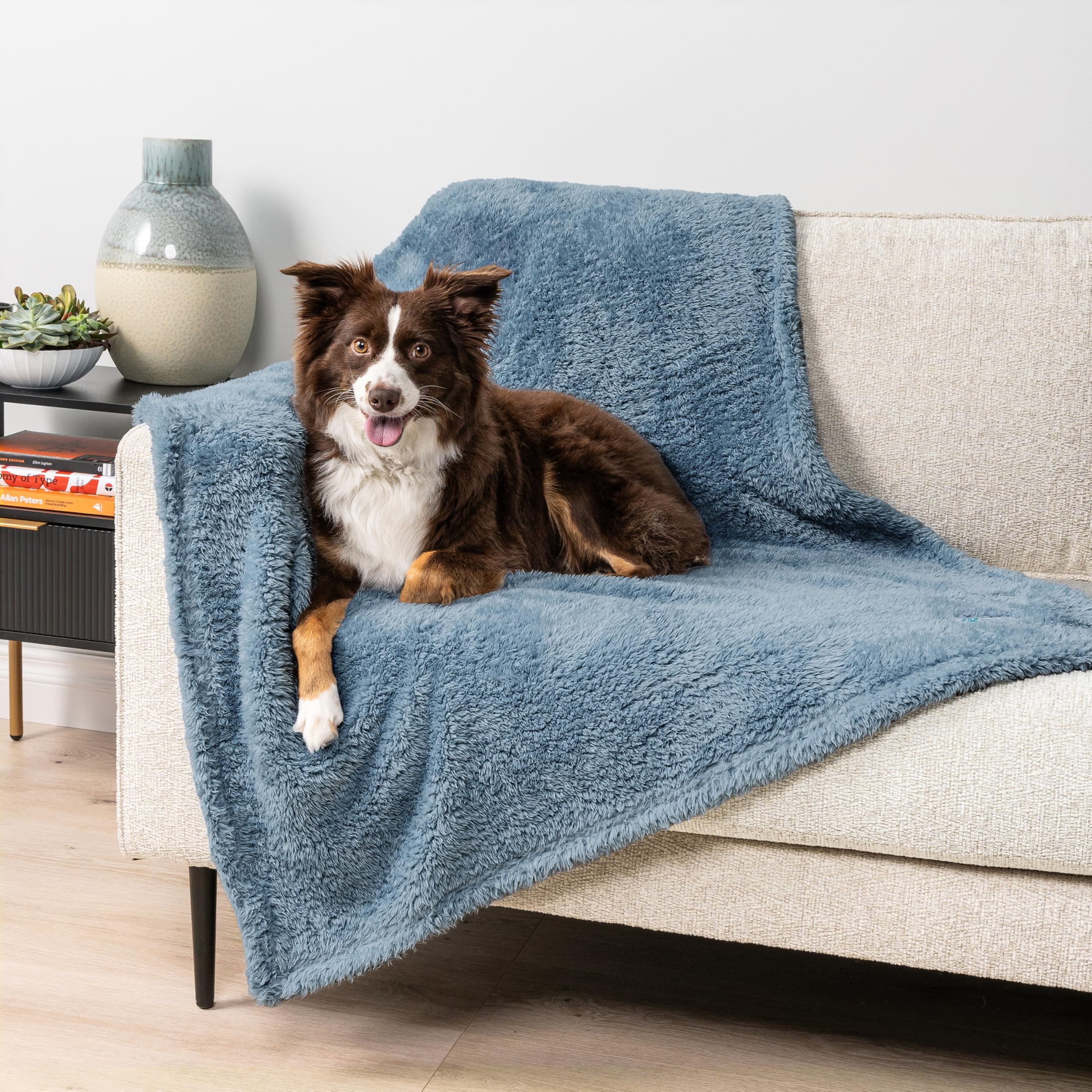 PetAmi convient petites et moyennes tailles chiens et chats