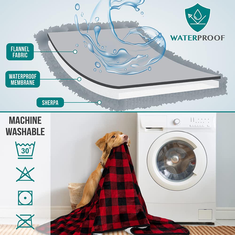 PetAmi compatible pour chiens et chats de toutes tailles