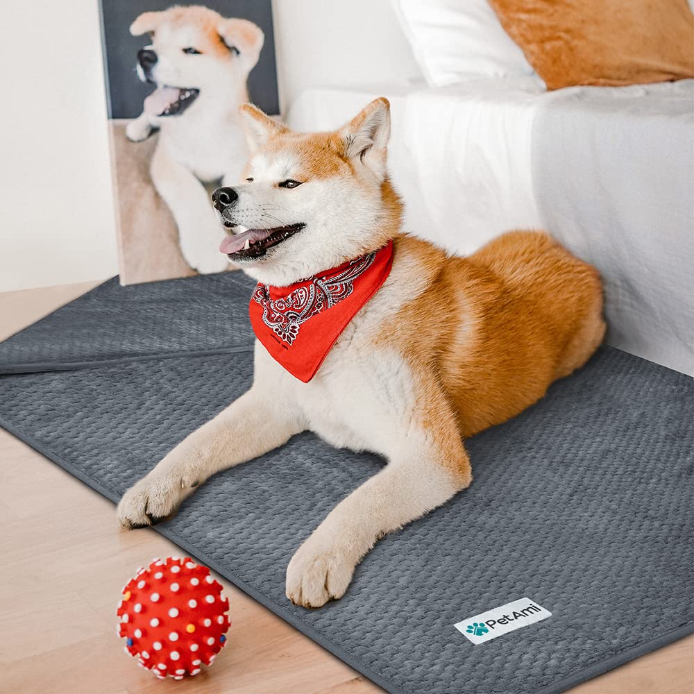 PetAmi taille petits-moyens idéale pour chiots et chats