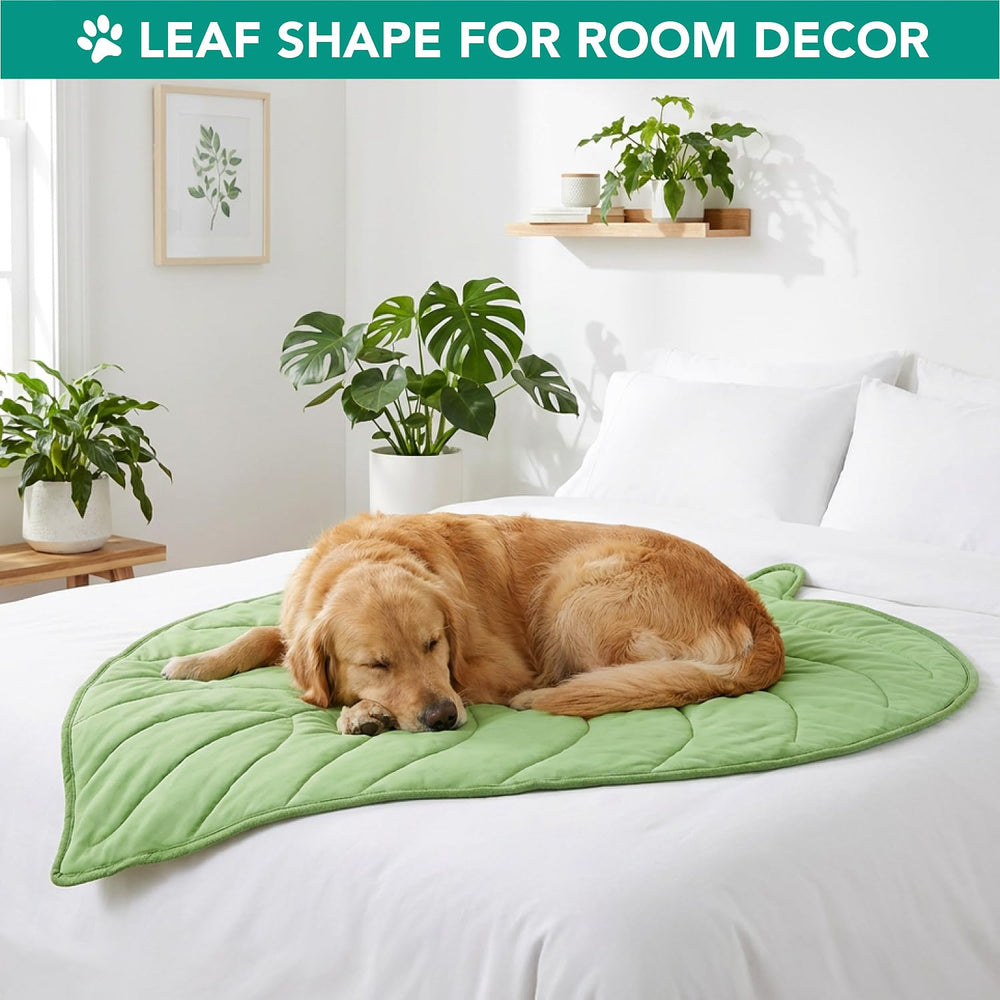 PetAmi Tapis protège-meubles, parfait comme matelas et couverture.
