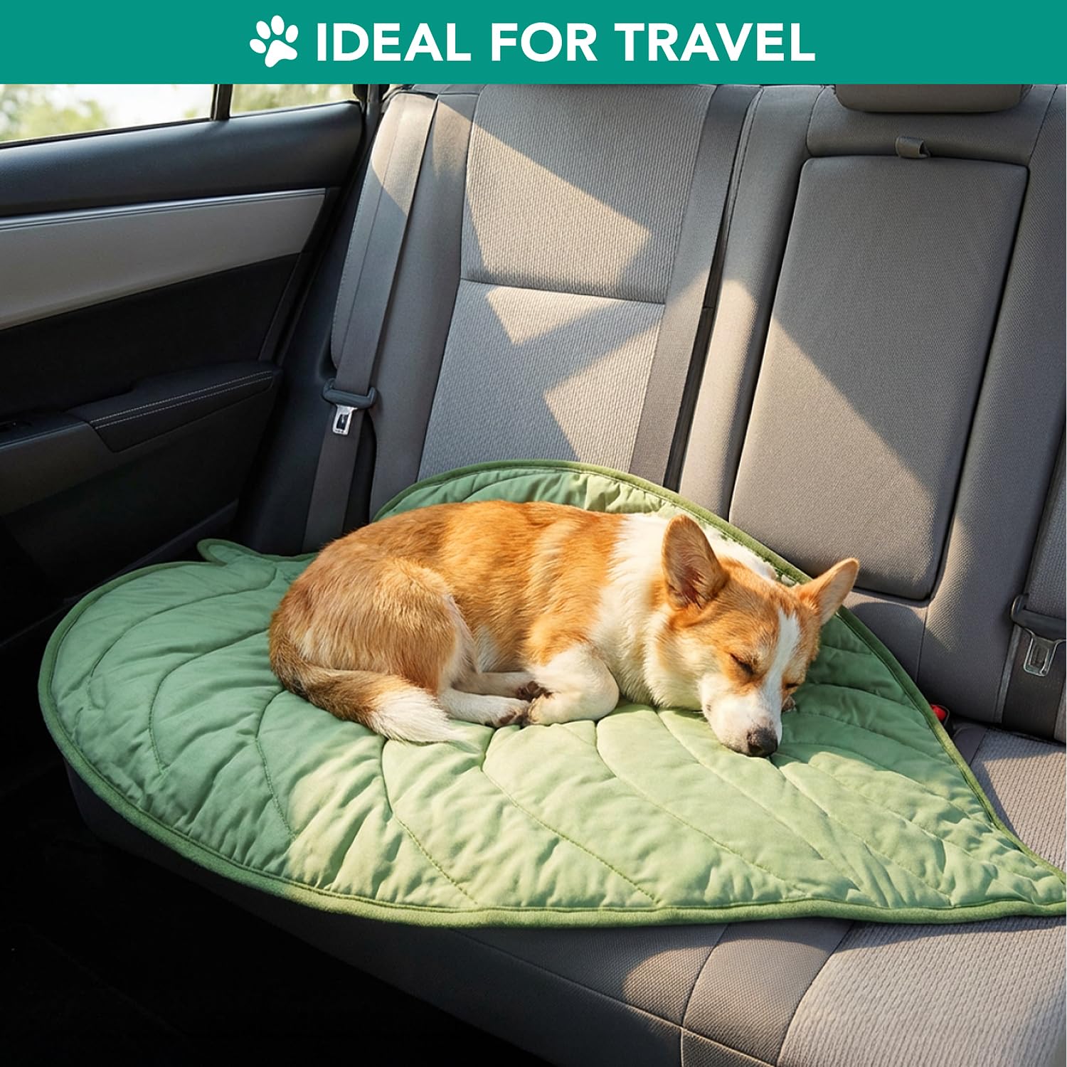 PetAmi Tapis pour cage et canapé, polyvalent et facile a laver.