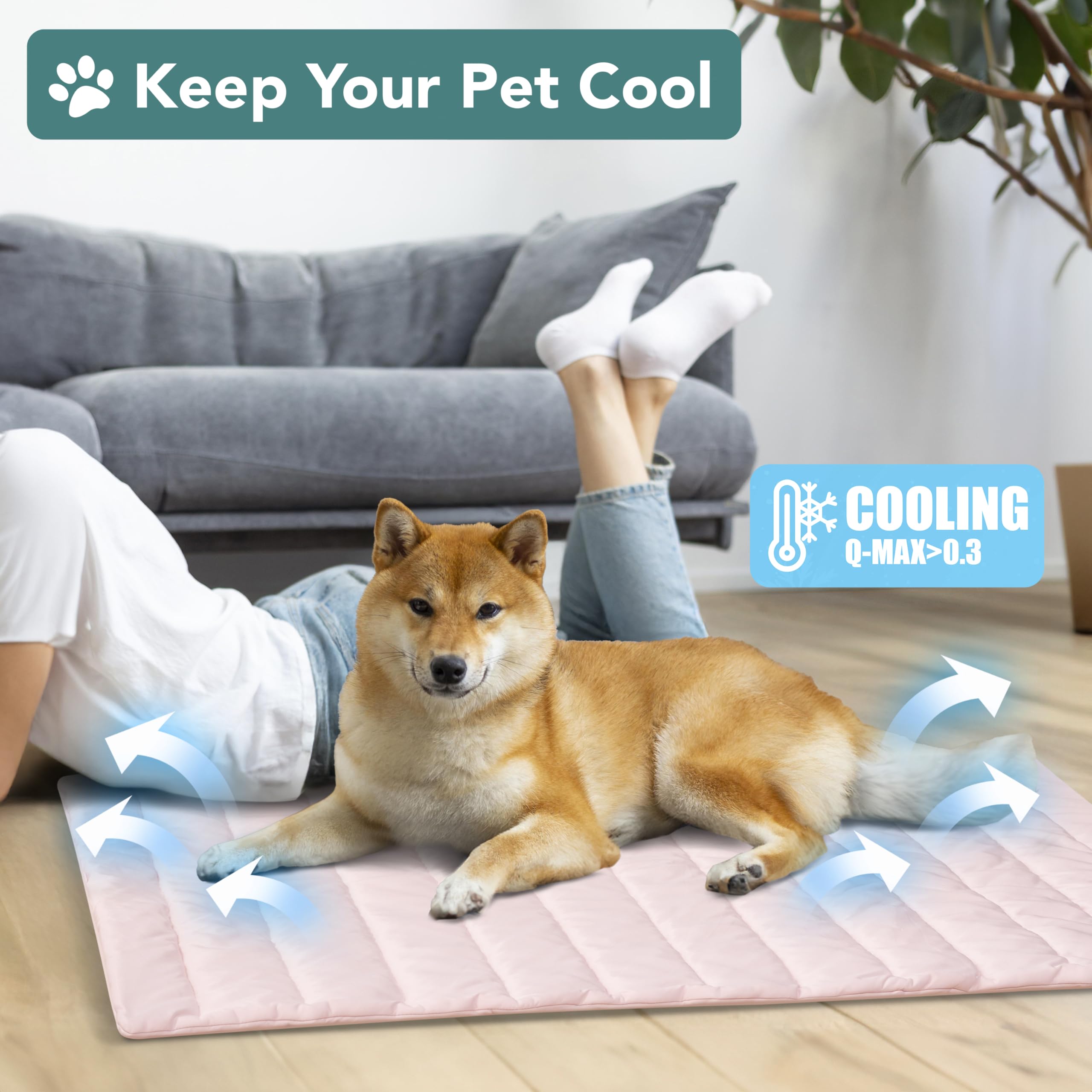 Face plush douce du tapis PetAmi offre un confort moelleux.