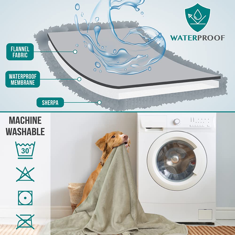 PetAmi: idéale pour chiens et chats, usage domestique ou voyage.