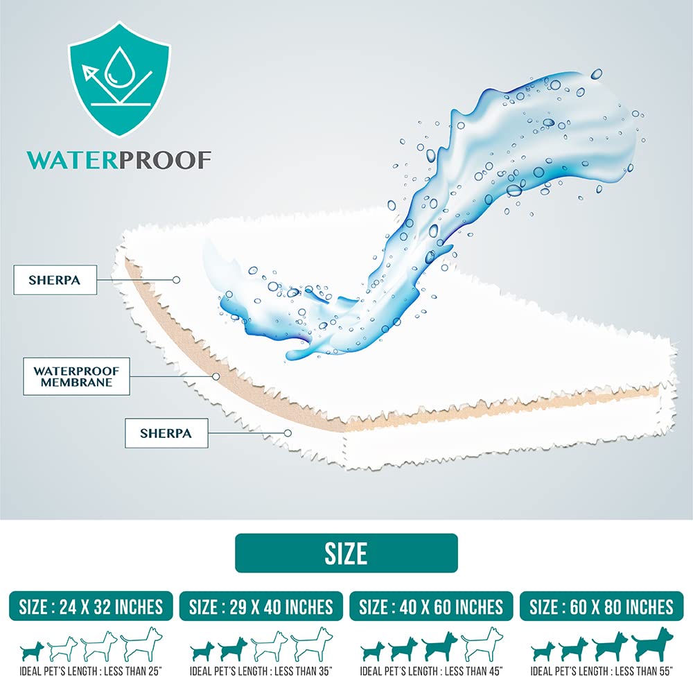 PetAmi usage voyage et maison pour surfaces sèches