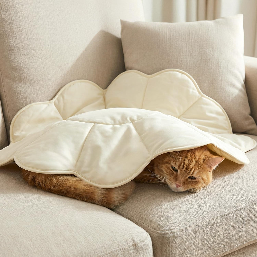 PetAmi beige neutre s harmonise avec votre intérieur et offre confort durable.