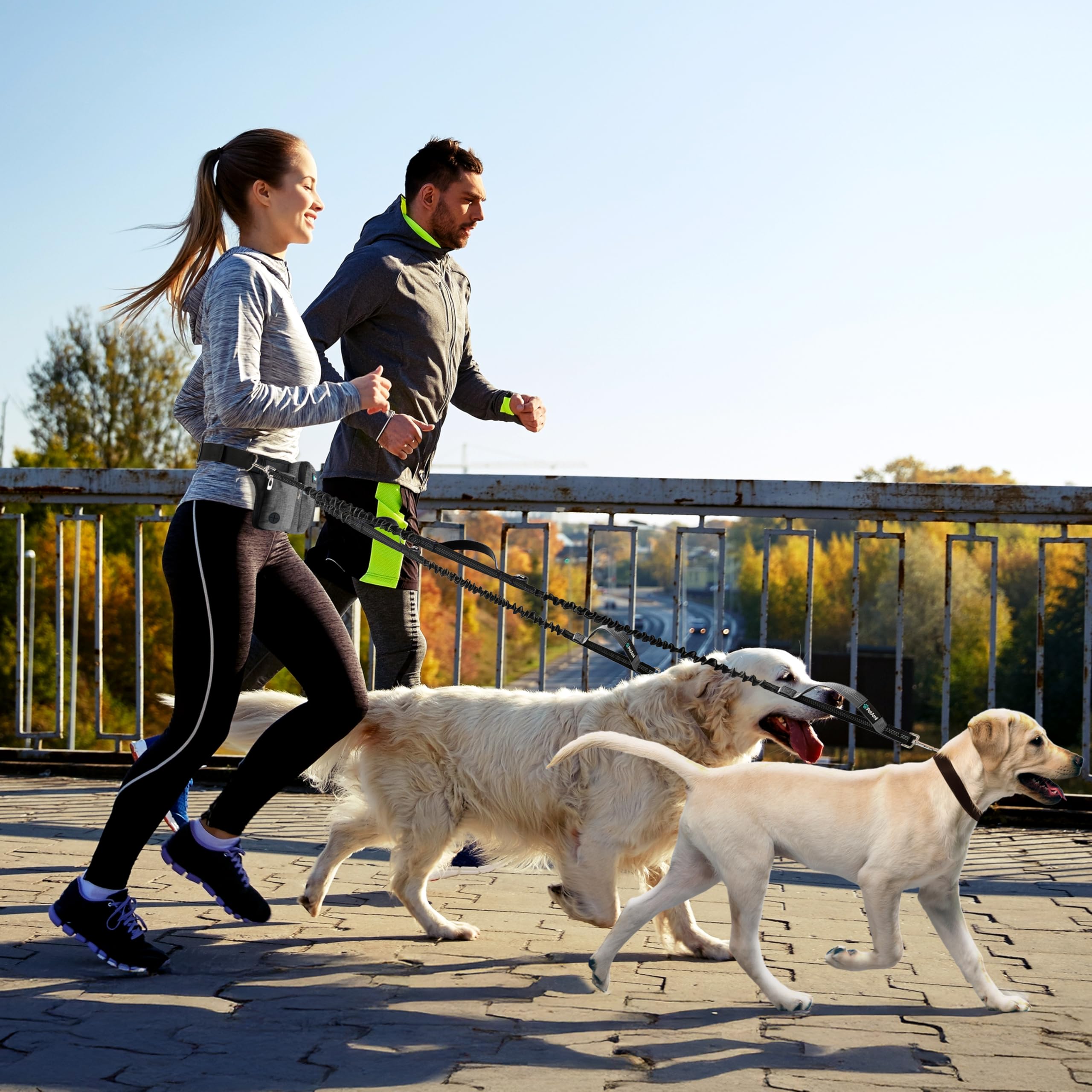 Idéal pour course, randonnée et promenade avec vos chiens.