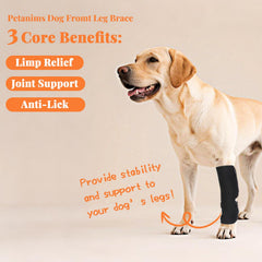 Petanims orthèse patte avant antidérapant assure ajustement sûr