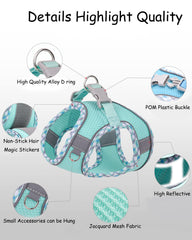 Harnais Petank violet avec attache auto-agrippante anti-poils et maintien sûr.