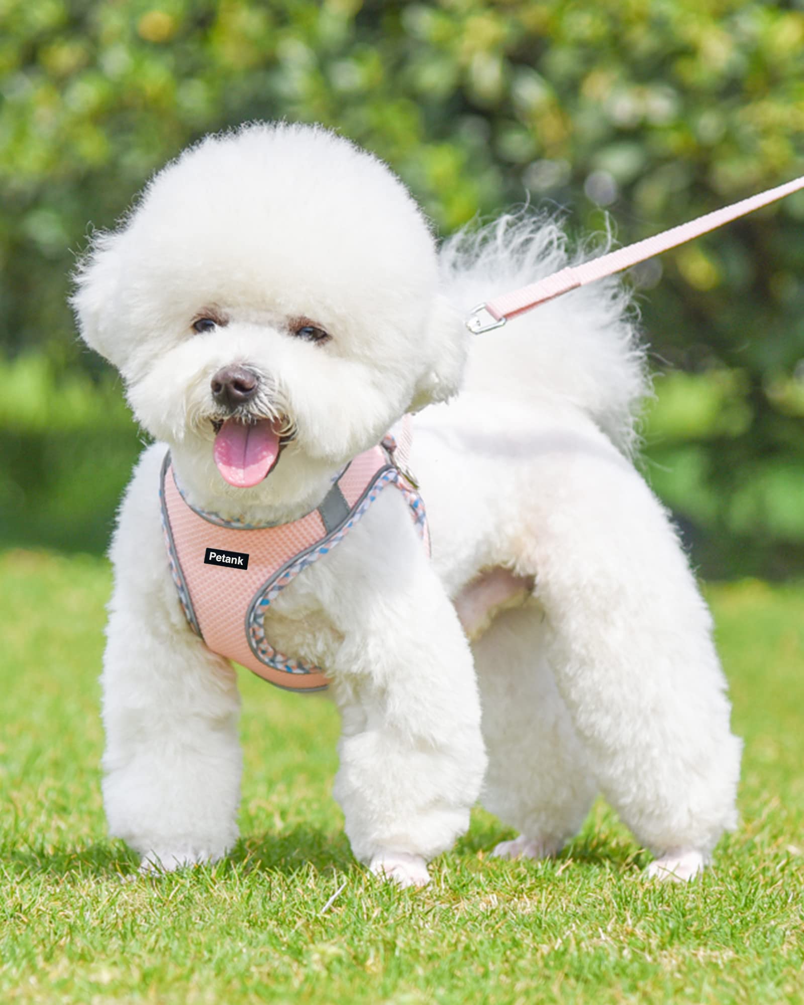 Harnais Petank sans traction pour chien, réduit le tirage lors des sorties en laisse.