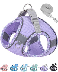 Harnais Petank pour petit chien violet — ensemble confortable pour promenades quotidiennes.