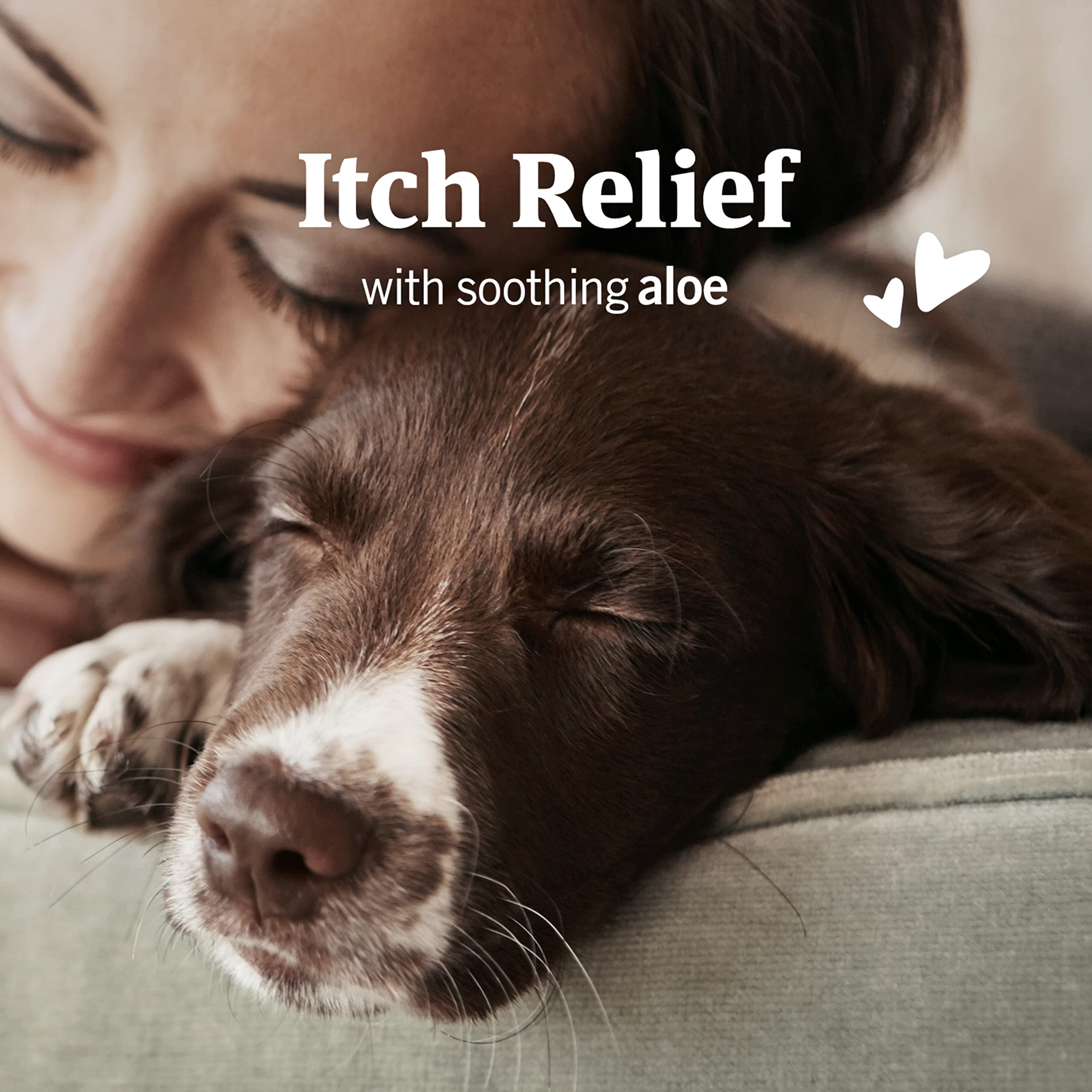 PetArmor apaise les démangeaisons avec l'aloès dans les oreilles des chiens.