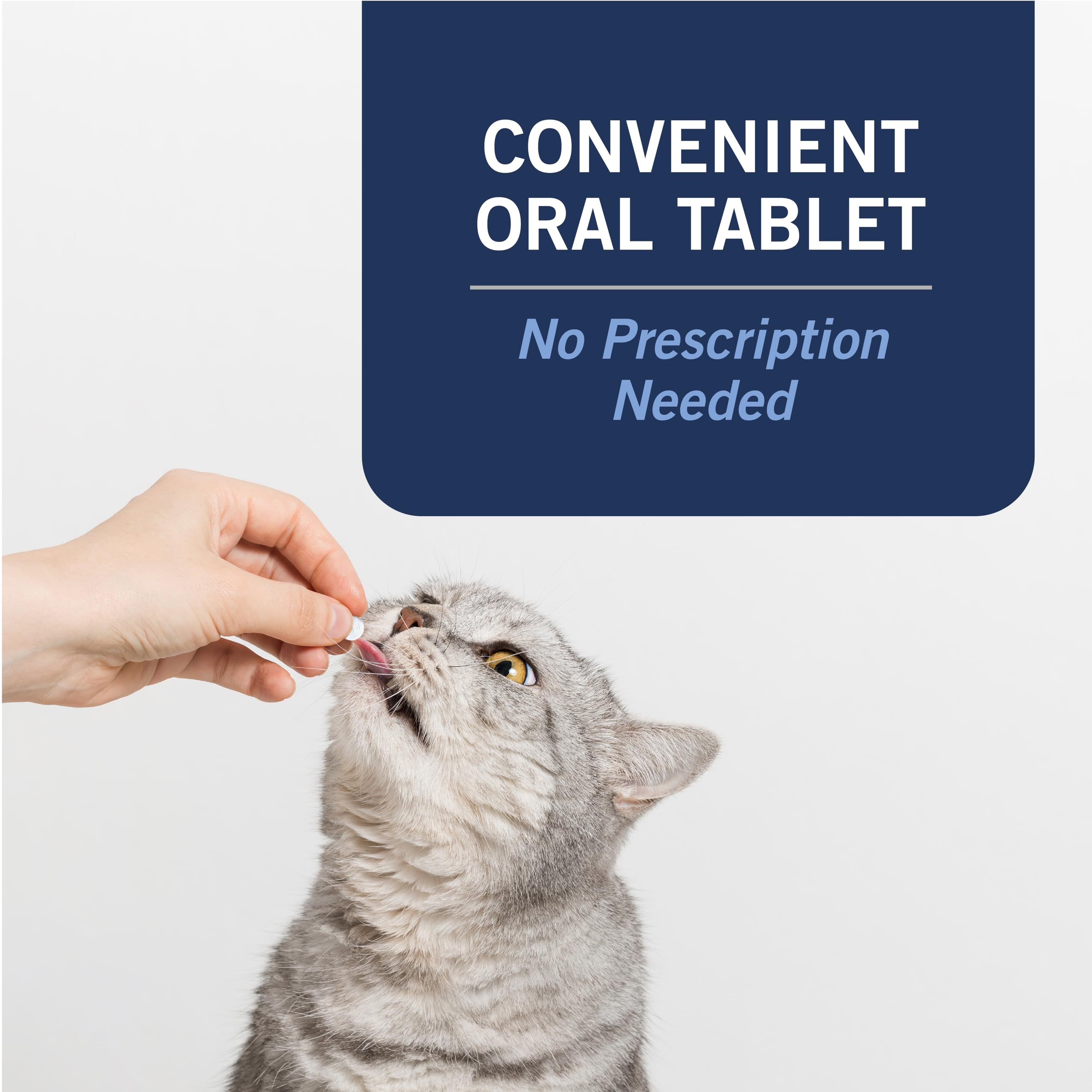 Sécurité CAPACTION pour chat et instructions d’utilisation claires.