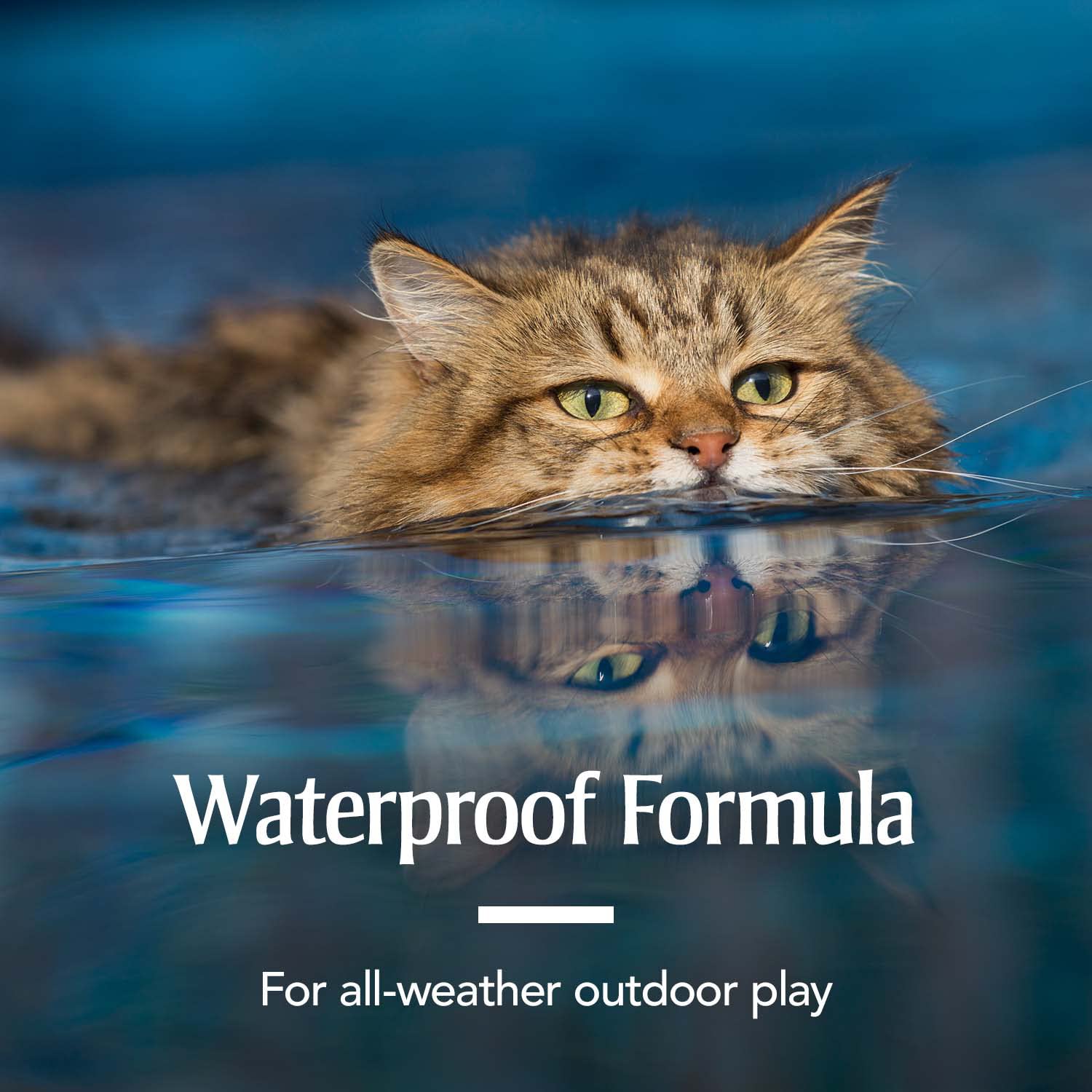 Mode d'emploi PetArmor pour chats, réduction des parasites à domicile.