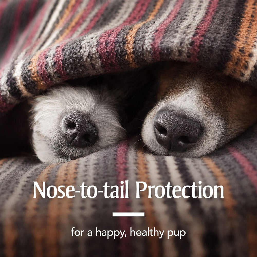 Pack double PETARMOR pour deux chiens